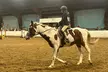30-Minute or 60-Minute Private Horseback Riding Lesson at Greene Acres Equestrian Center (Up to 36% Off) - Second Medium