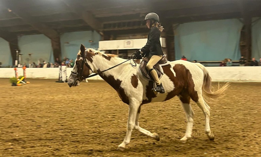 Image 3: Up to 42% Off Private Horseback Riding Lessons at Greene Acres