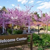 Image 2: General Admission to 40-Acre Arboretum & Botanic Gardens in Waterloo