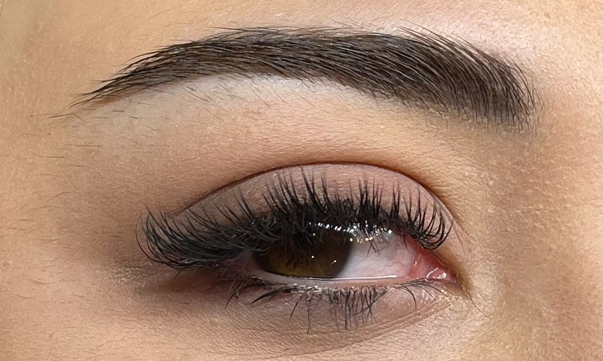 Classic or Volume Full Set of Eyelash Extensions with One Touch-Up