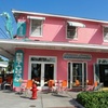 Image 2: Key West Day Trip: Round-Trip Shuttle from Miami