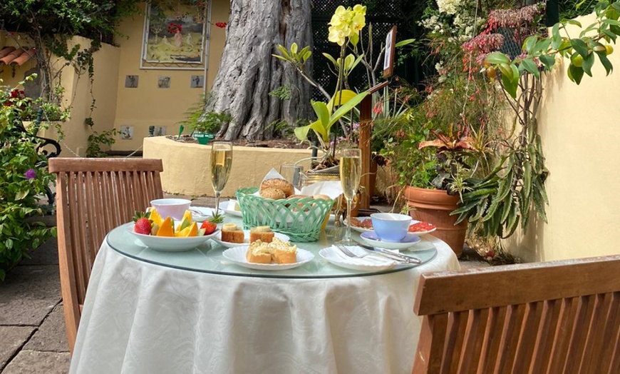 Image 2: Entrada al orquidario y brunch en Café Orquidea