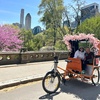 Image 24: Central Park Pedicab Tour: Classic, Deluxe or Elite PediCab Tour