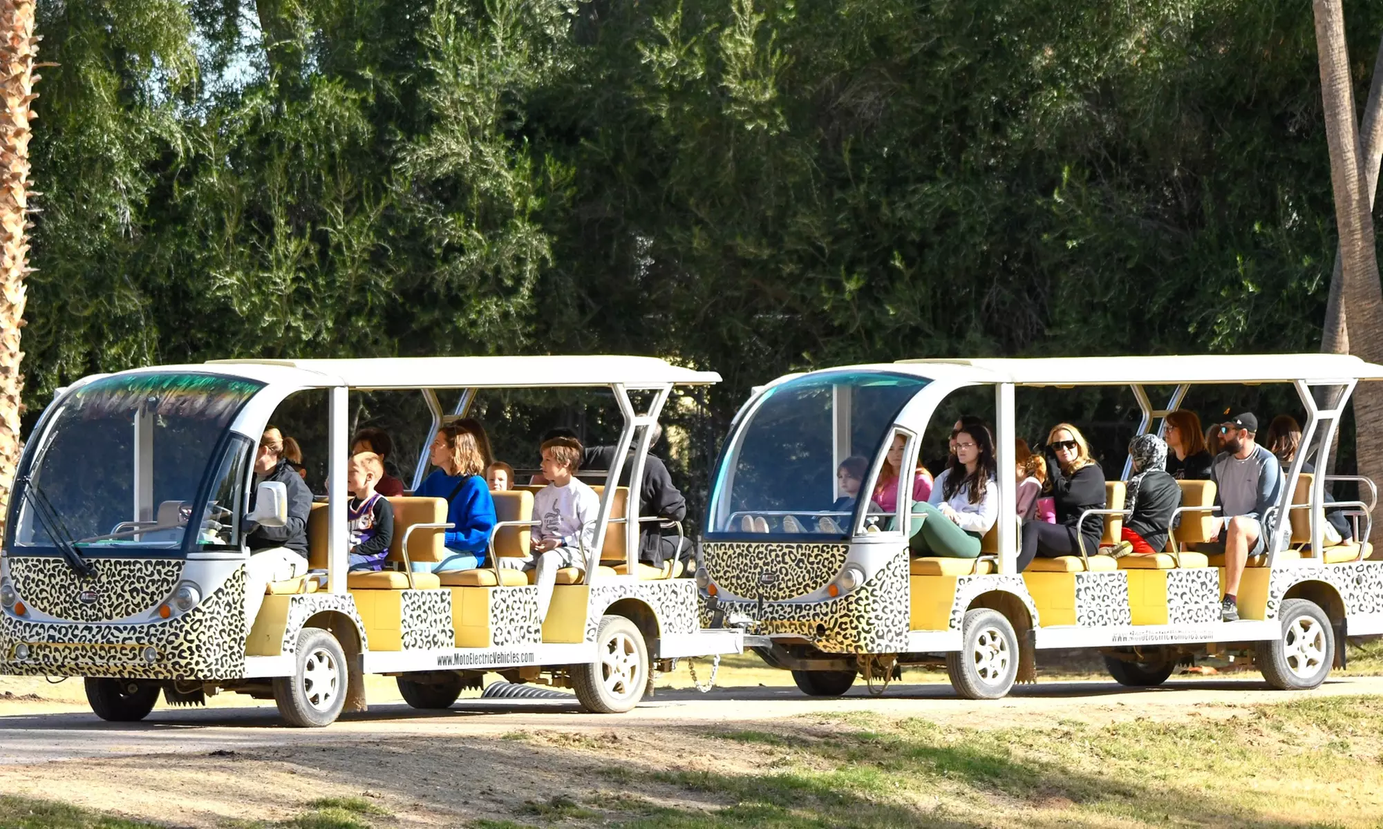 Admission to Wildlife World Zoo, Aquarium, & Safari Park