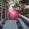 Image 2: Two Mountain Coaster Rides for Adults or Children