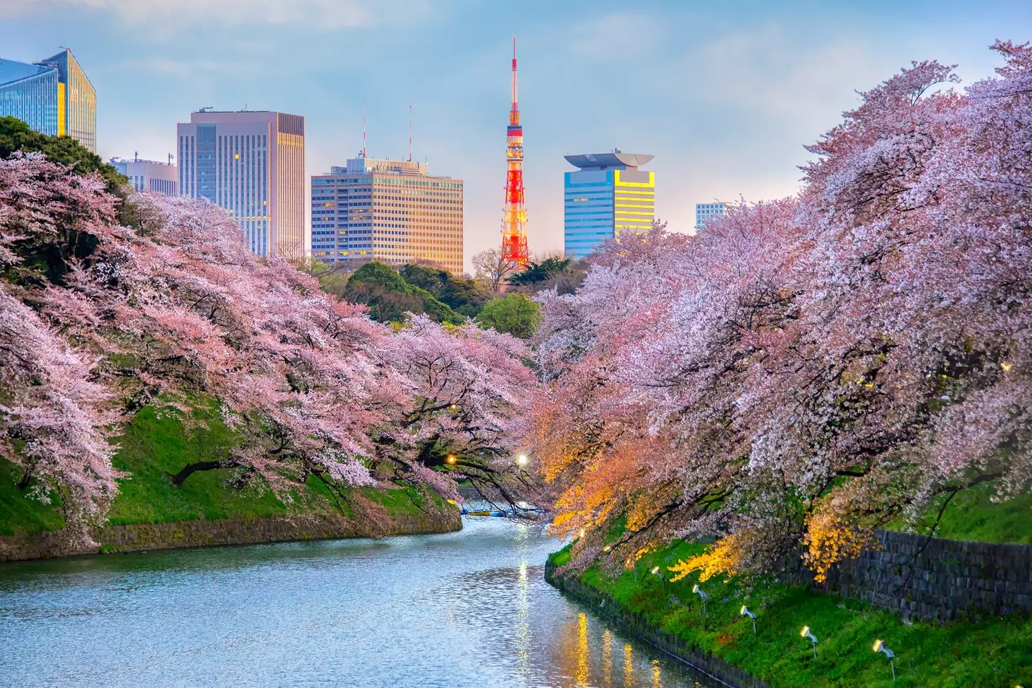 ✈ 8-Day Tour of Japan with Hotel and Air from Intertrips