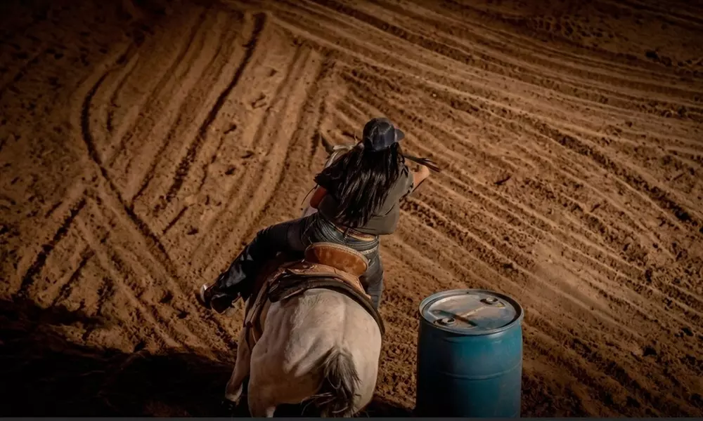 Horseback Riding Lessons Single, Two, or Three Session Options