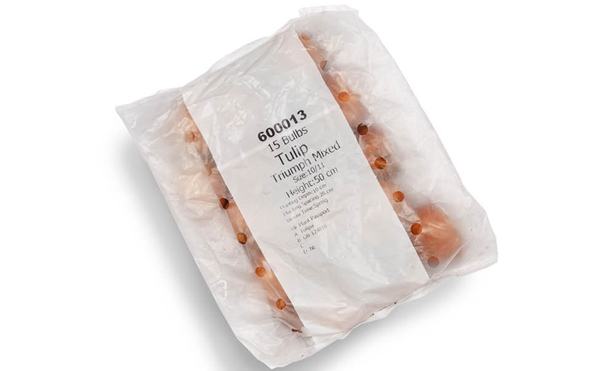 Image 3: 15 or 30 Triumph Tulip Mixed Bulbs for Spring Gardens 