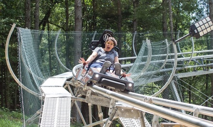 EARLY BIRD PRICING -LIMITED SUPPLY: Two Coaster Rides for Children 7-12 - Brush Creek Hollr Mountain Coaster