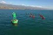 Sea Lion and Wharf Kayak Tour for a Child Or One, Two, or Four Adults at Paddle Sports Center(Up to 30% Off) - Second Medium