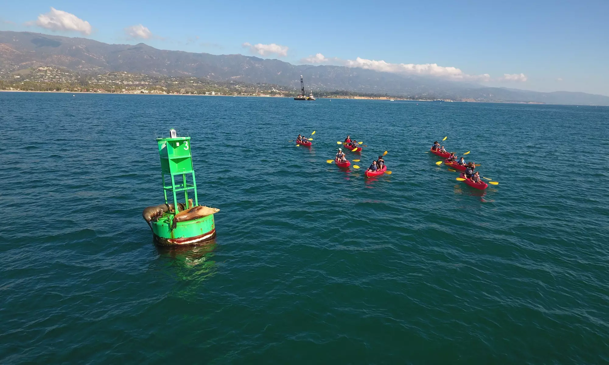 Sea Lion and Wharf Kayak Tour for a Child Or One, Two, or Four Adults