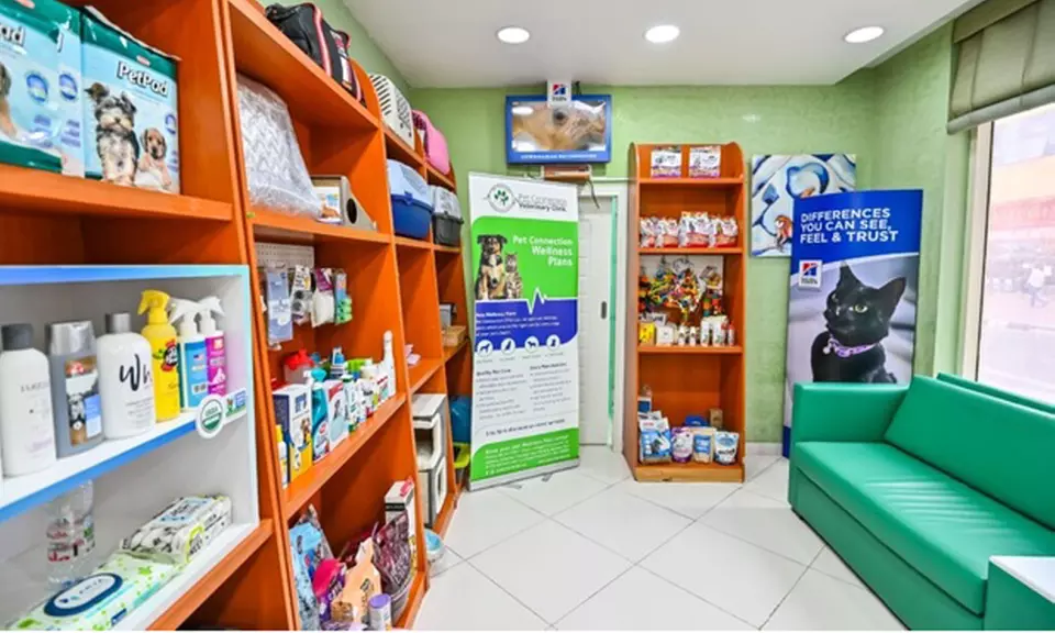 Veterinary Examination at Pet Connection Veterinary Clinic