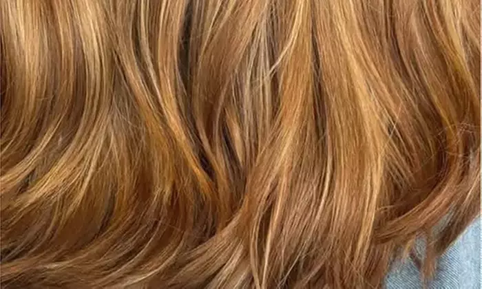 Elevate Your Look with Blowout, Partial Highlight, Style, & More