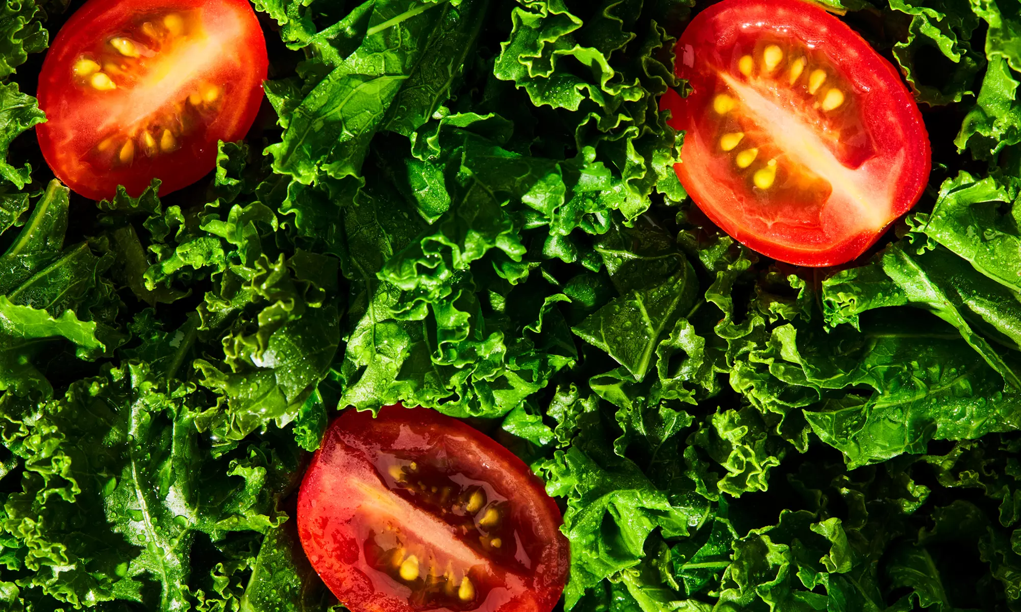 Factor Healthy Meal Delivery