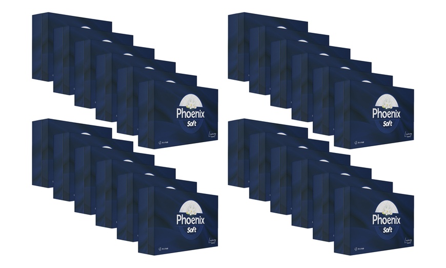 Image 6: 3, 10 or 24 Pack Phoenix Soft Luxury Tissues