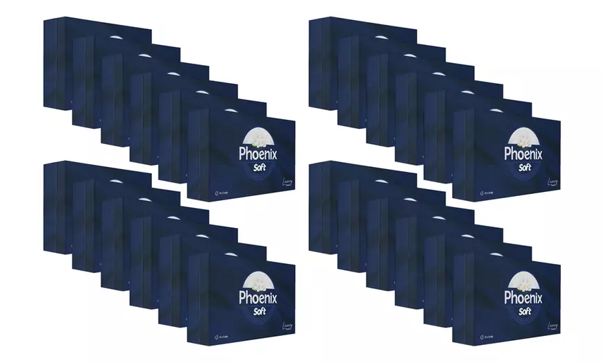 Image 6: 3, 10 or 24 Pack Phoenix Soft Luxury Tissues