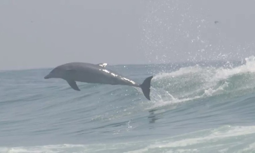 Image 5: Aussie Surfing Lesson & Photo Package at Australian Surfing Adventures