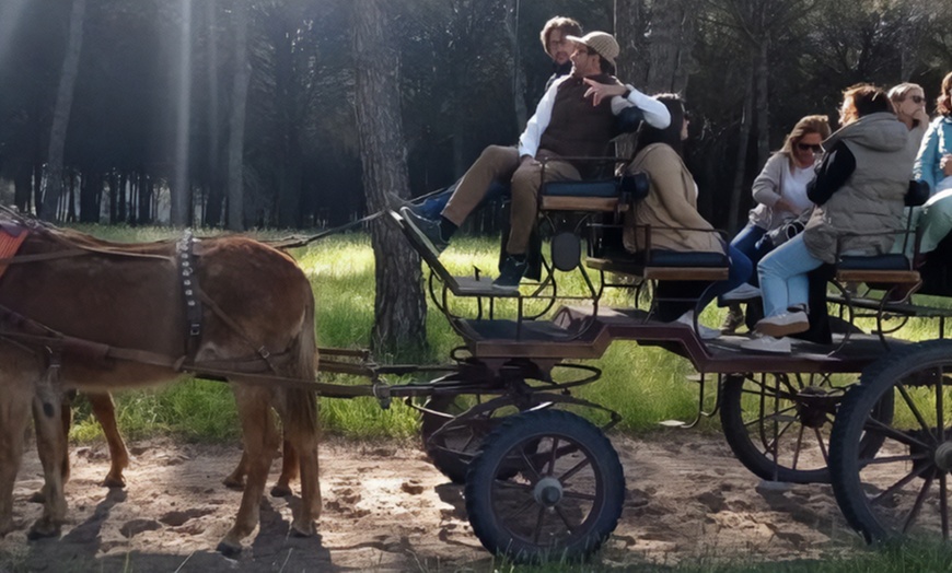 Image 2: Paseo privado en carro de caballos 2 horas para 2 o 4 personas