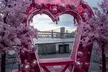Cherry Blossom Pop-Up at Pink Pier NYC - Image 2