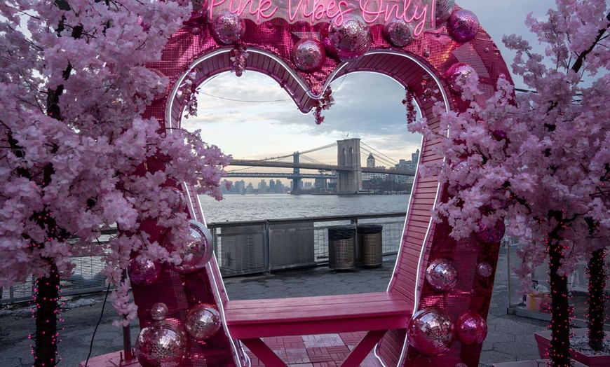 Image 2: VIP General Admission with Flex Pass Ticket to Pink Pier