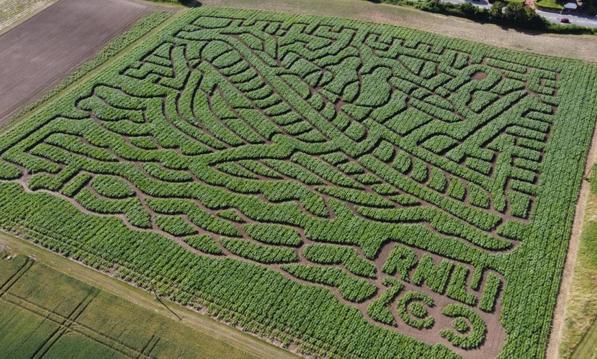 Image 3: Adventure Awaits: Maze Entry for One, Two, Three, or Family of Four