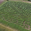 Image 3: Adventure Awaits: Maze Entry for One, Two, Three, or Family of Four