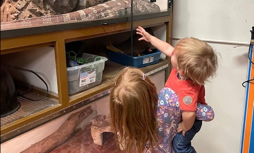 Image 7: Interactive Reptile Zoo Admission: Snakes, Lizards, and Tortoises!