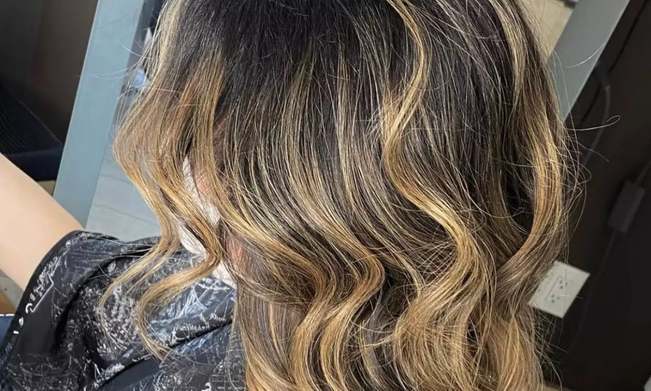 Haircut, Condition, Blowdry with Optional Single Process, Ombre & More