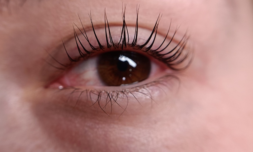 Image 4: Tratamientos para cejas y pestañas a elegir para 1 persona