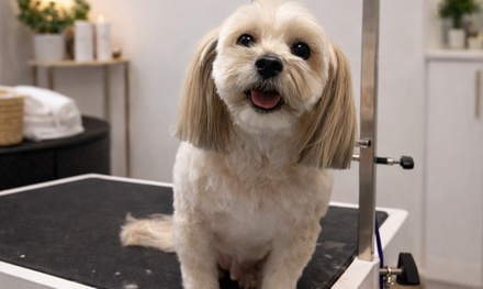 Full Bath/Grooming Package for Small Dogs (Up to 25 lbs) - Giving Tree K9 Club