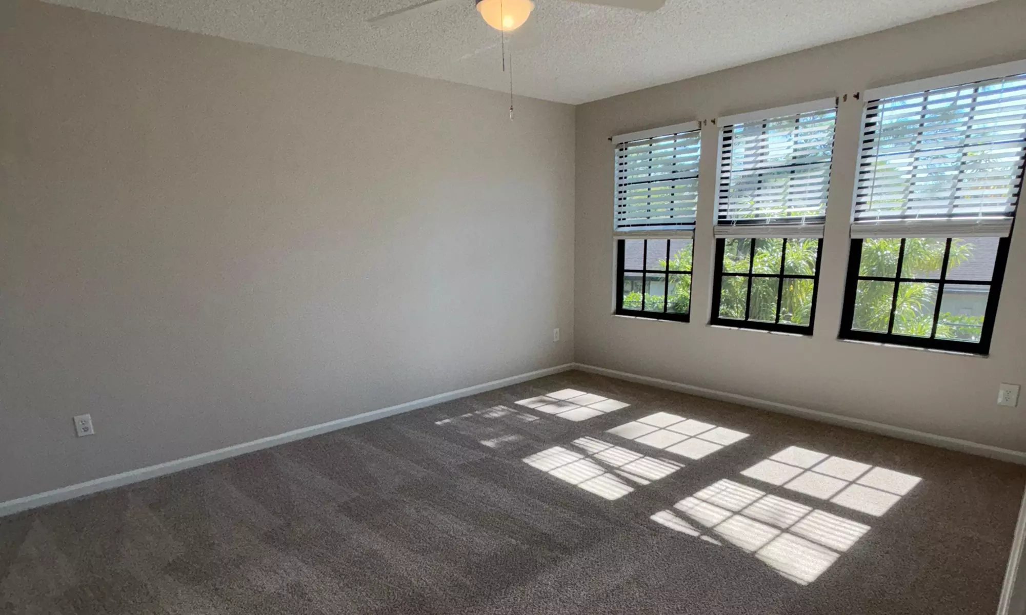 Professional Cleaning Packages with Flexible Hour Options