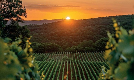 1 Ticket für "Die Weinwelt Georgiens" am Fr., 06.02.2026 für 1 Person - Weinland Waterfront