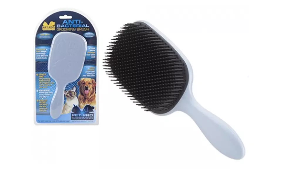 1 ou 2 brosses de toilettage démêlant antibactérienne pour animaux de compagnie - Primary Image