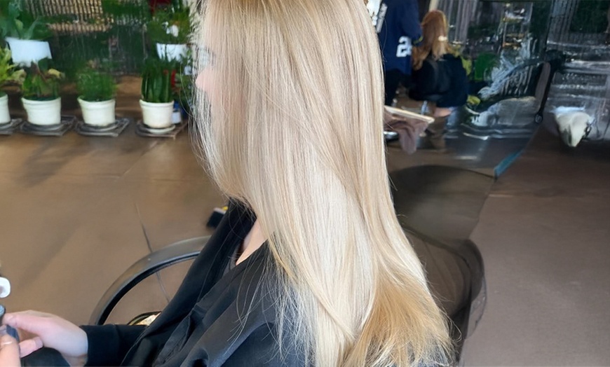 Image 6: Women’s Haircut, Shampoo, Conditioning, Color & Highlight Options