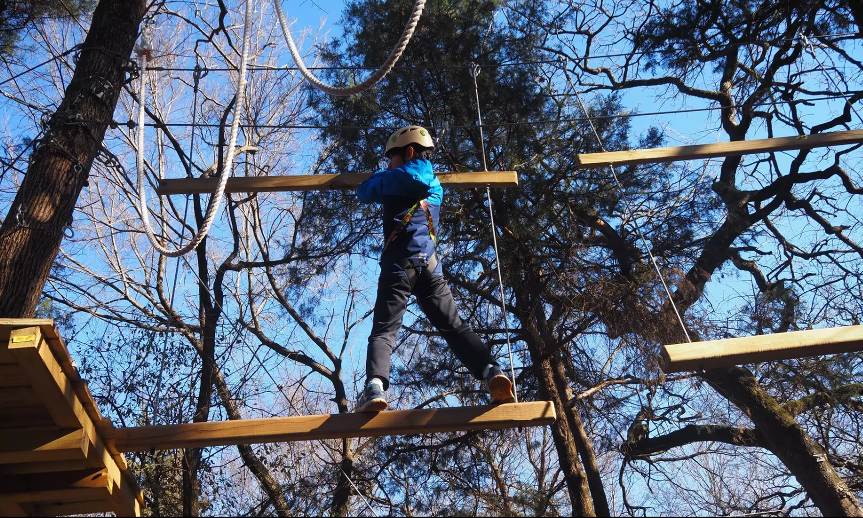 Up to 42% Off Aerial Adventure Park Experience: Trinity Forest