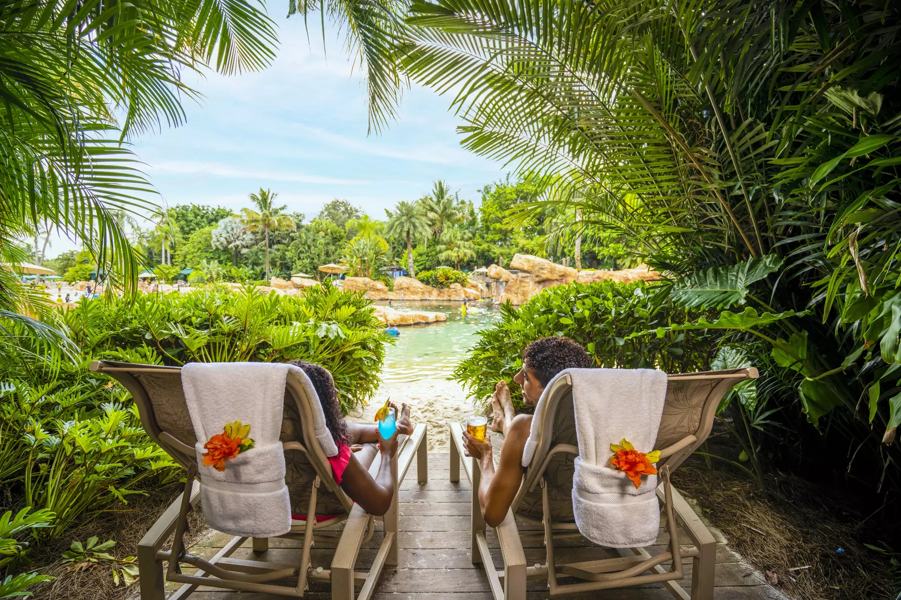 Experience Unforgettable Animal Encounters & All-Inclusive Luxury at Discovery Cove, Orlando's #1 Theme Park