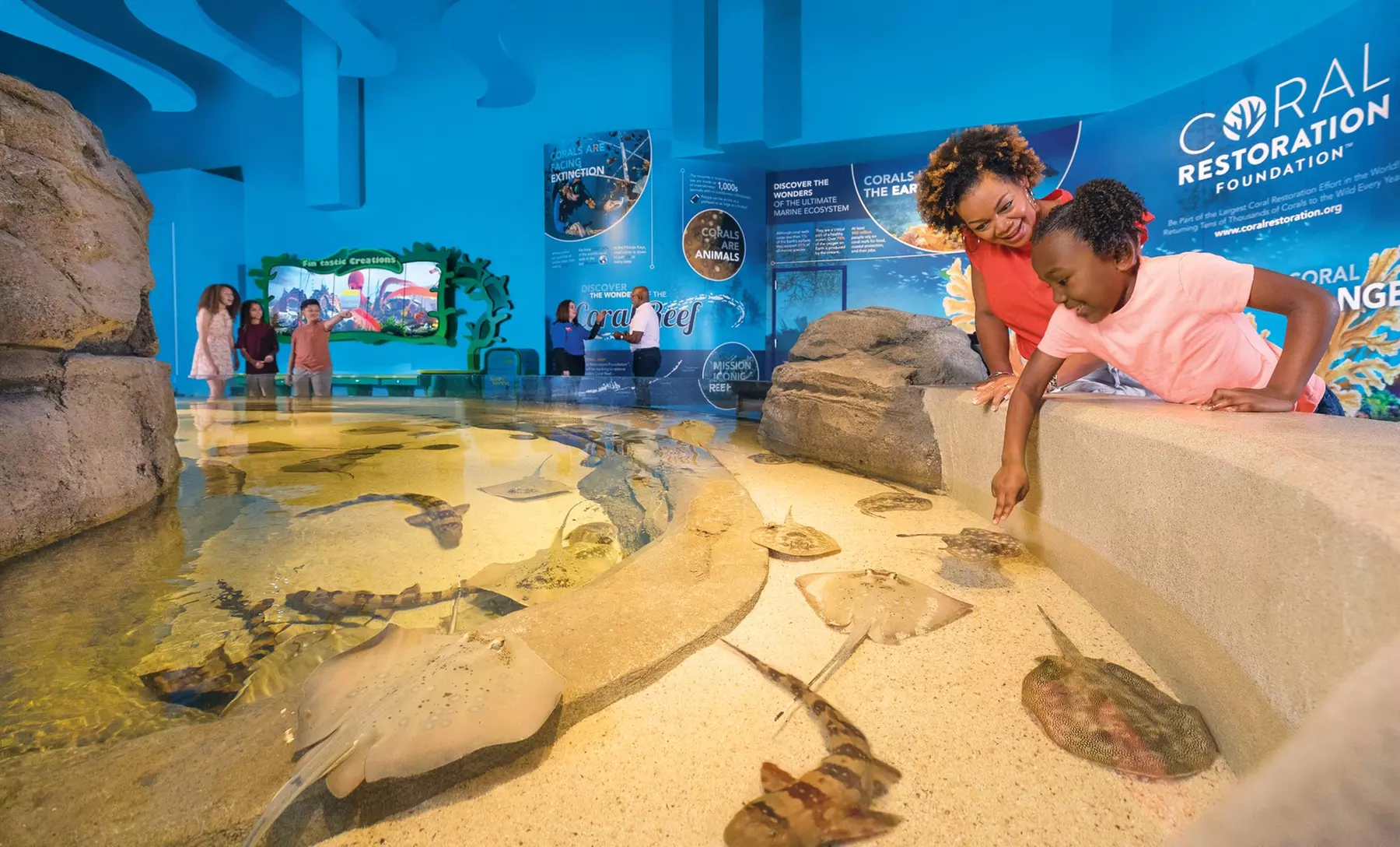 Explore Undersea Wonders: Tickets to Aquarium at the Boardwalk - Branson - Second Medium
