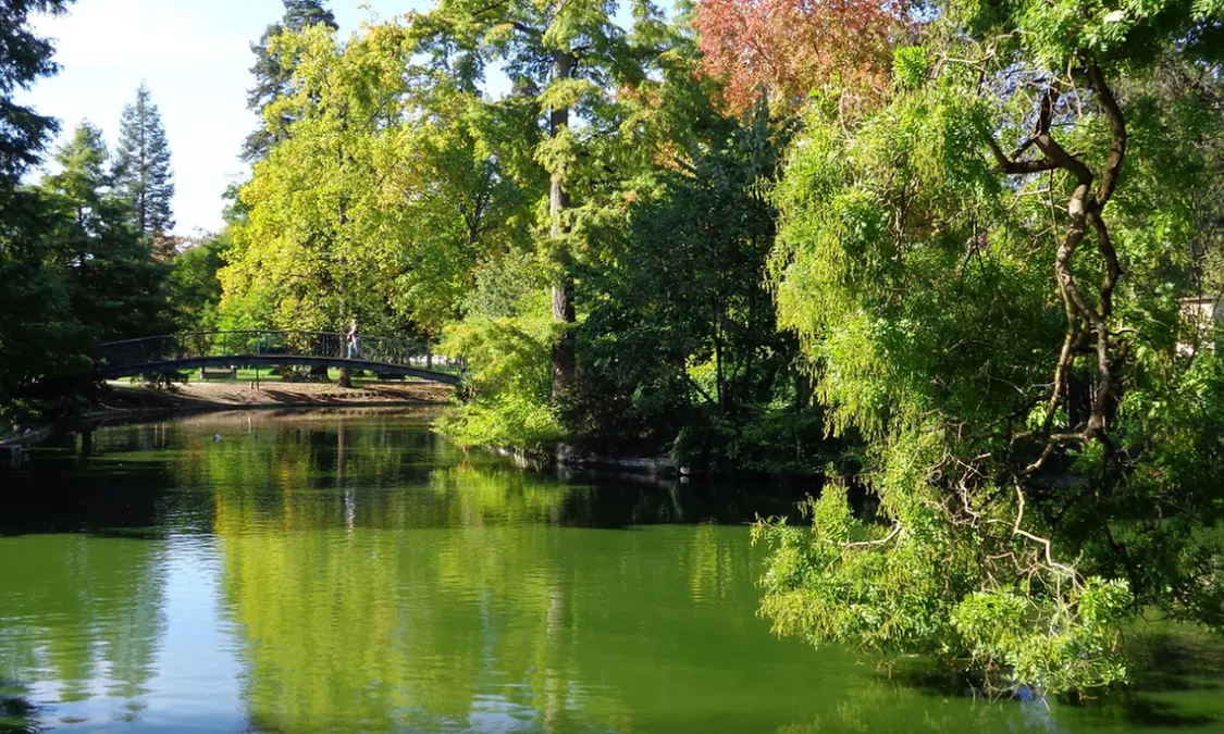 Gironde : séjour en appartement 1 chambre, petit-déjeuner en option