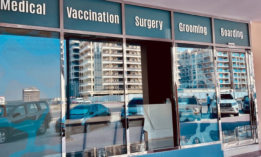 Image 2: Take Care of Your Pet: Vaccination or Preventive Care Package