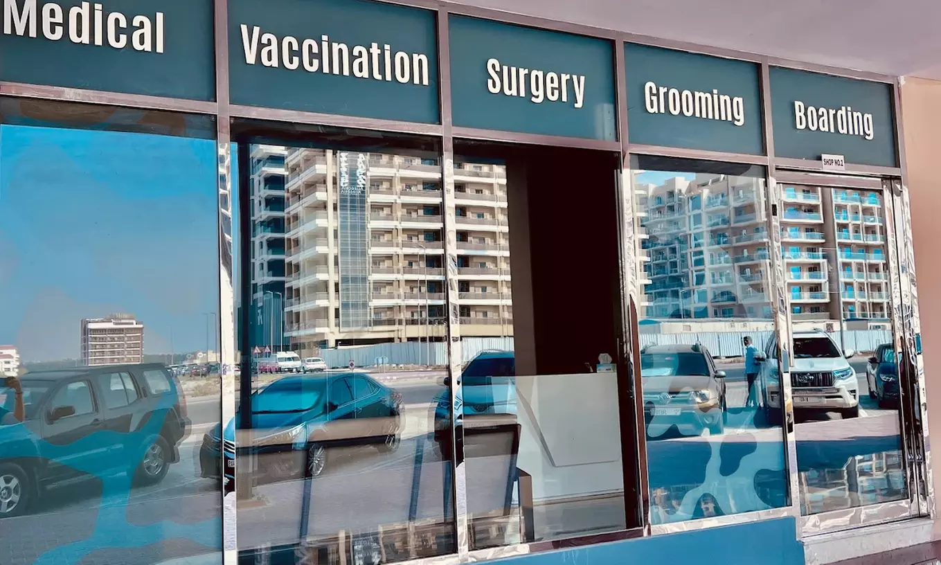 Take Care of Your Pet: Vaccination or Preventive Care Package