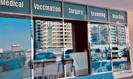 Cat or Dog General Check-Up + Preventive Care Package - Anubis Veterinary Clinic