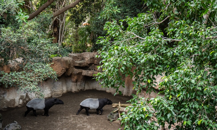 Image 6: Vive un viaje educativo y salvaje con una entrada a Bioparc Fuengirola