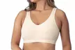 Women's Wirefree Lightly Padded Everyday Bra (M-3XL) - Second Medium