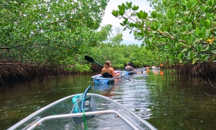 120-Minute Clear Kayak Mangrove Eco Tour - Watersports Now LLC Nokomis, FL