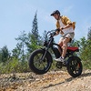 Image 1: Discover the Joy of Riding with Fullday eBike Rental for 1 or 2 People