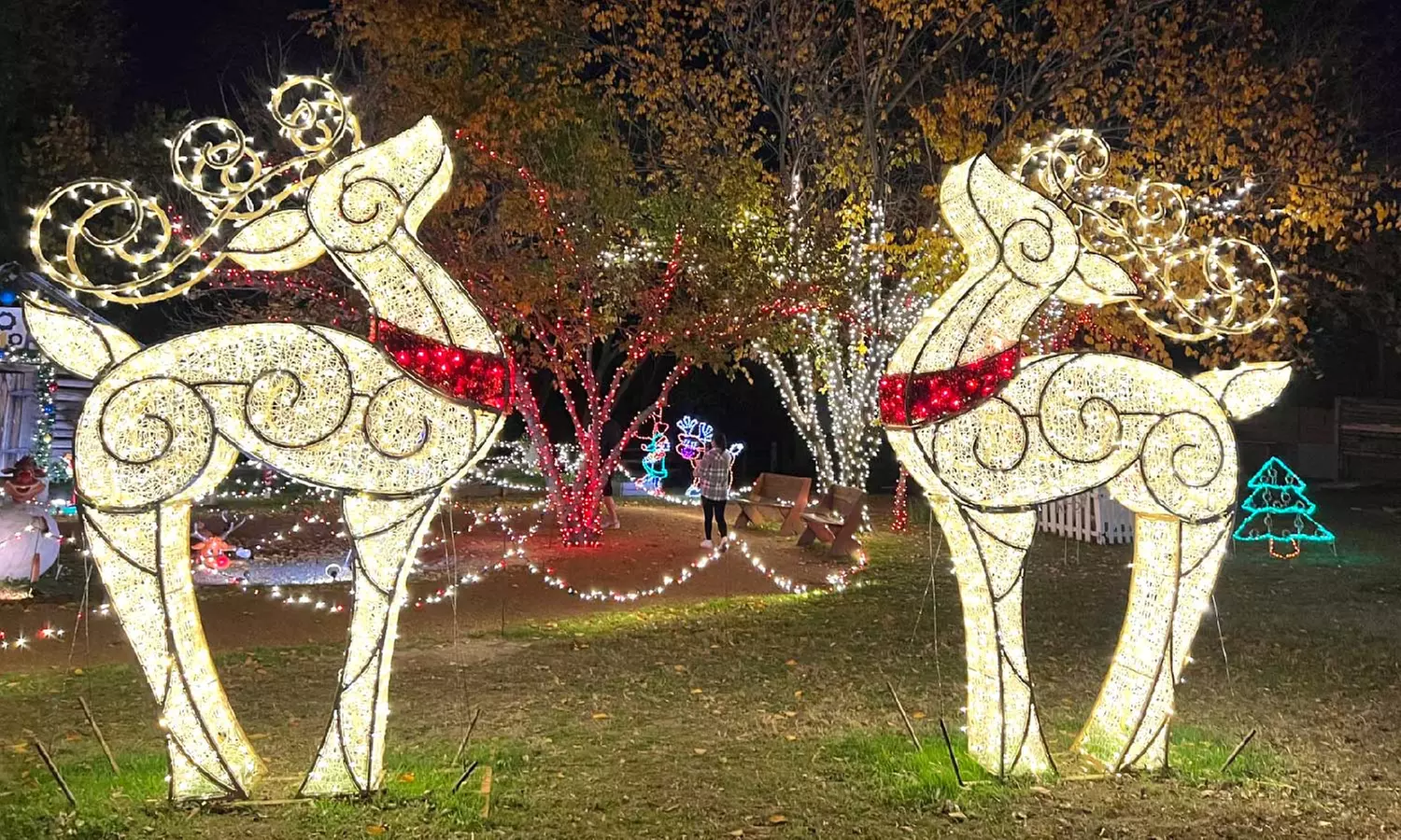 Experience Lights on the Farm at Heritage Farmstead Museum w/ Tickets for 2, 3, or 4 People (Up To 28% Off) - Second Medium
