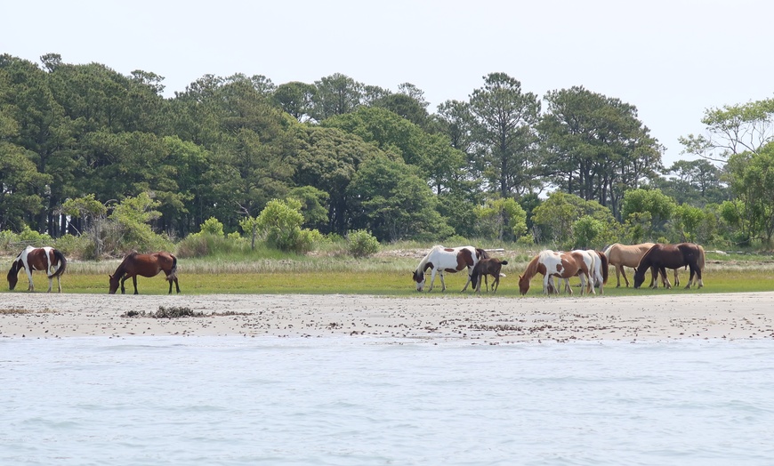 Image 7: Fishing Skiff Boat Rental at Chincoteague Island
