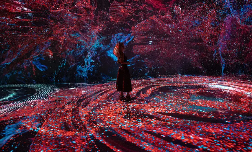 nodel design 38灯 solo exhibition 屋久杉 Zilker Garden lights up with neon, costumes for Surreal Garden