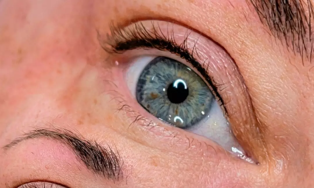 Get a Permanent Makeup Lip Blushing/Eyebrow or Eyeliner Tattoo Session