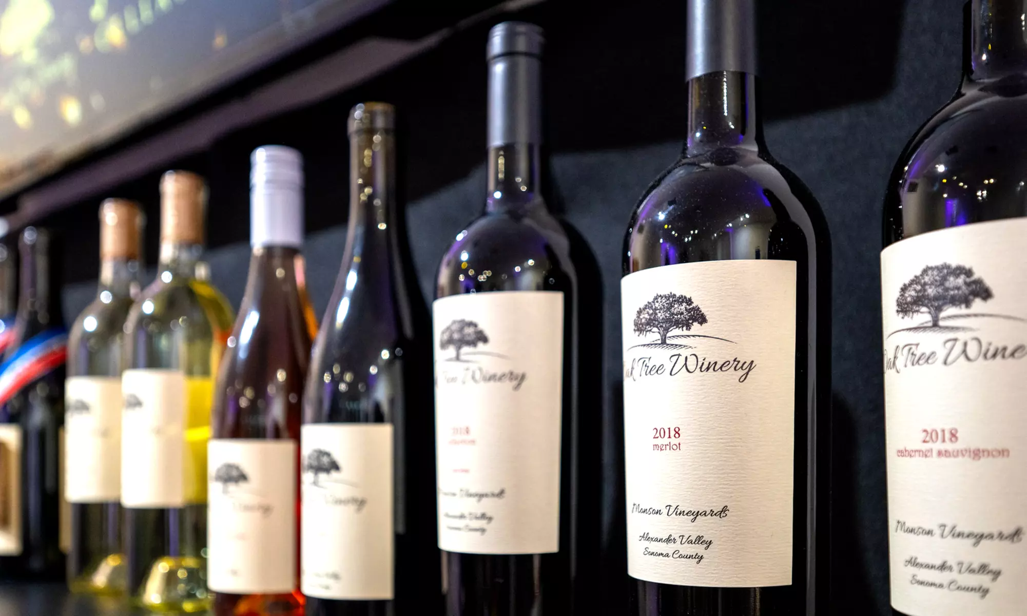 Guided Wine Tasting & Bottle Purchase Credit for Two or Four